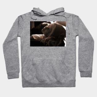 Sepia Daydream Hoodie